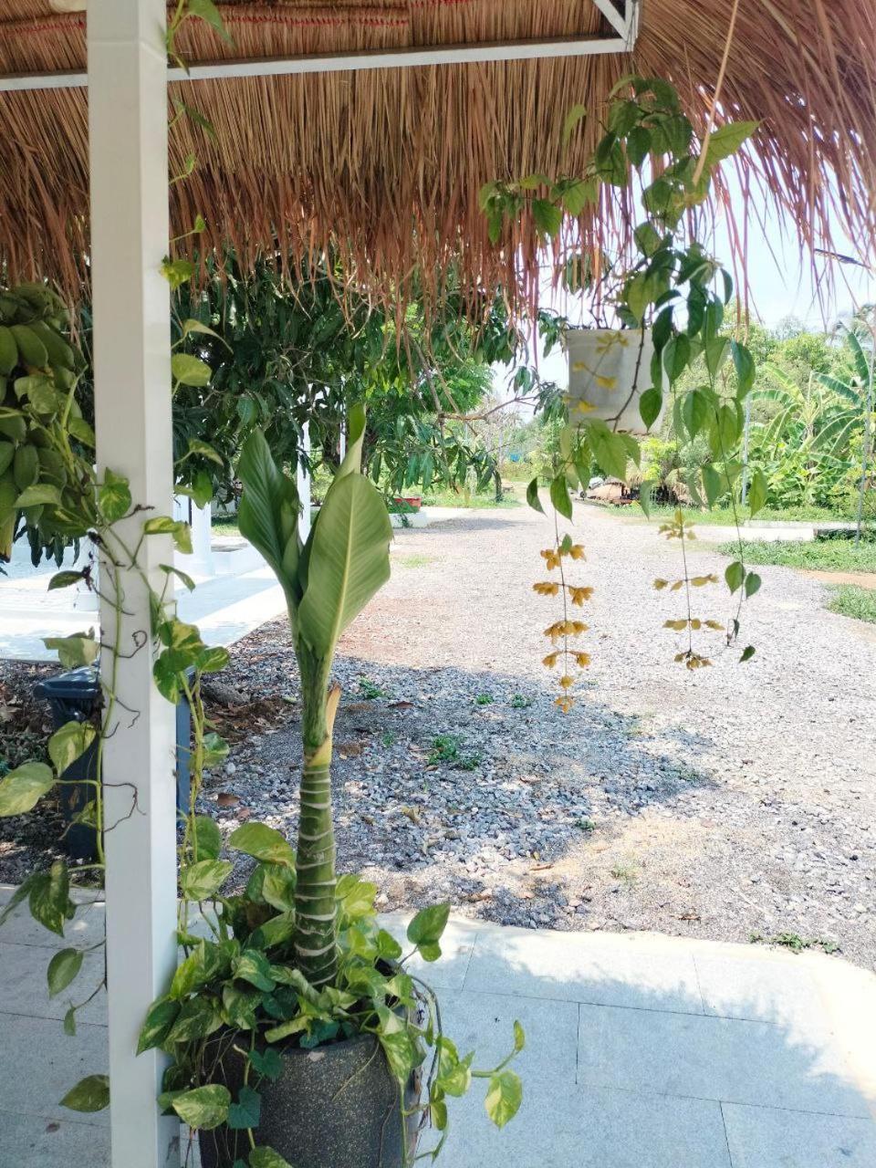 Primprey Second Home Battambang Exteriör bild